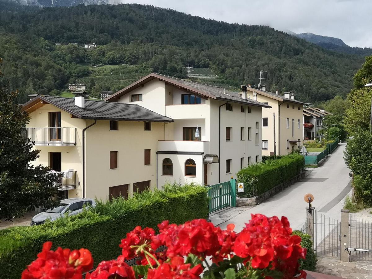 Appartamenti Casa Viviana 佩尔吉内瓦尔苏加纳 外观 照片